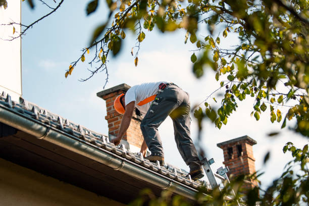Best Residential Roofing Contractor  in Oakland, IA