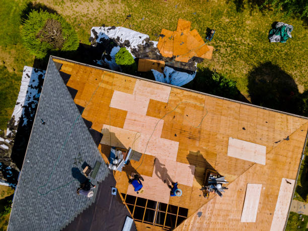 Professional Roofing Contractor in Oakland, IA