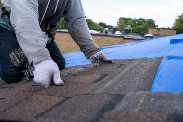 Best Roof Waterproofing Services  in Oakland, IA
