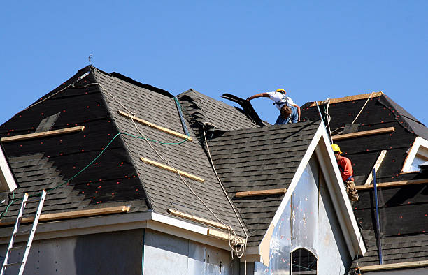 Best Roof Gutter Cleaning  in Oakland, IA