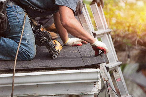 Best Roof Repair Services  in Oakland, IA